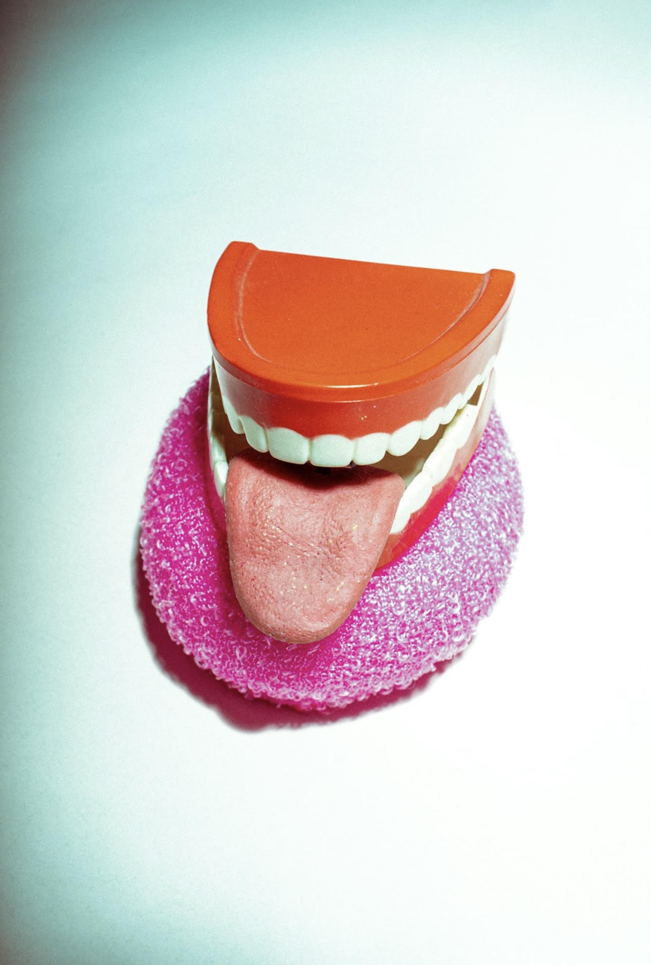 A plastic model of teeth and tongue placed on a pink sponge against a light background, illustrating tongue anatomy and oral health.